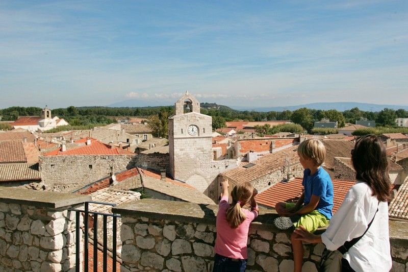 Terre de Provence : un outil sur mesure et des adresses certifiées