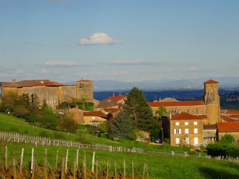 Témoignage sur l’adresse :  Theizé-en-Beaujolais